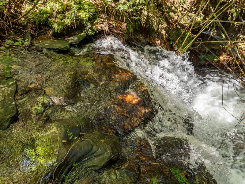 GALLERYBG_0001_ANAKENA1-13