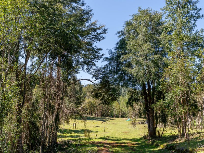 GALLERYBG_0002_ANAKENA1-6