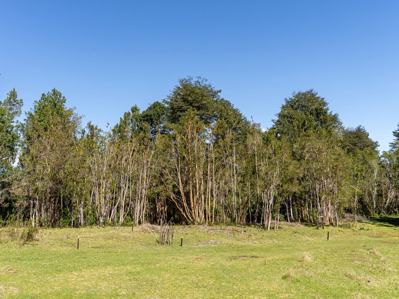 GALLERYBG_0003_ANAKENA1-7 copia