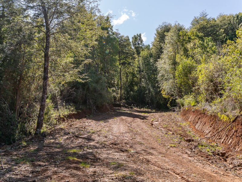 GALLERYBG_0004_ANAKENA1-23