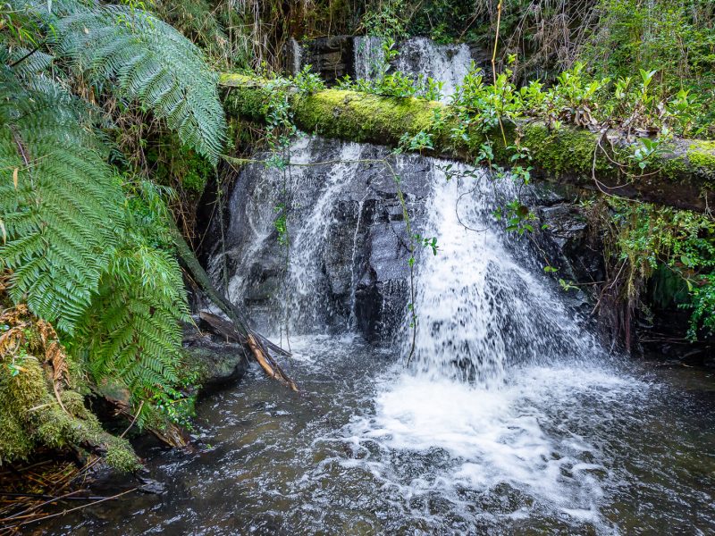 GALLERYBG_0005_ANAKENA1-21