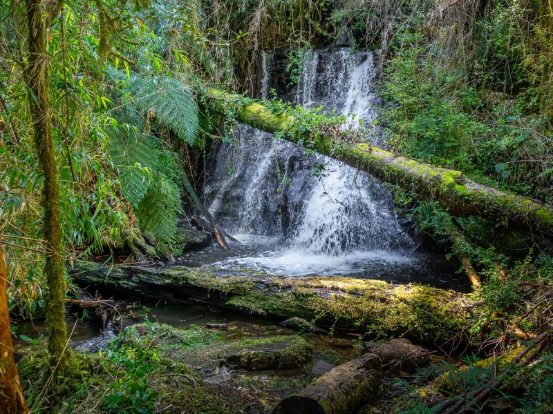 GALLERYBG_0006_ANAKENA1-17